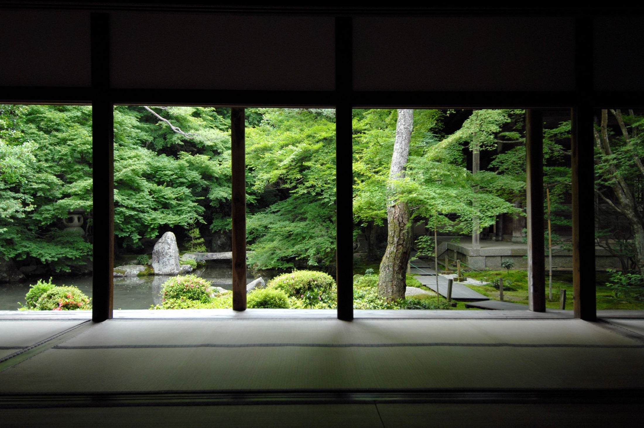 畳の座敷から柱越しに眺める日本庭園