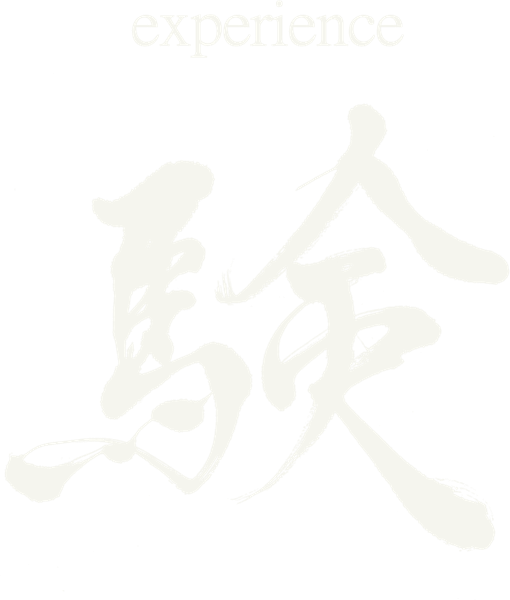 験 experience
