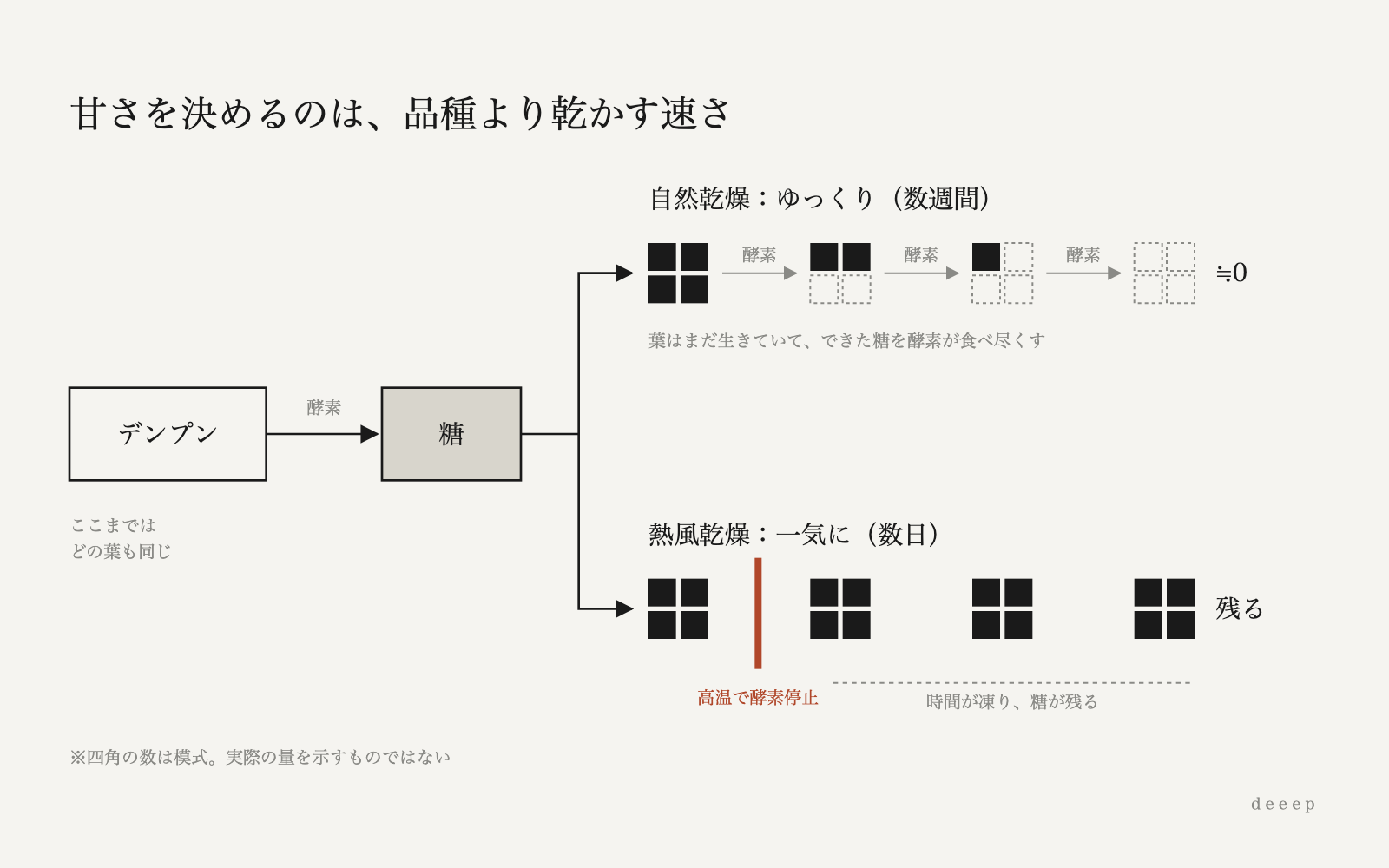 ゆっくり乾かすと酵素が糖を食べ尽くし、一気に乾かすと酵素が止まって糖が残る。