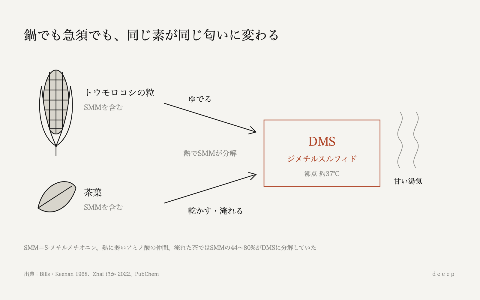 熱に弱いS-メチルメチオニンが分解してDMSになる。同じ反応が、鍋のトウモロコシでも急須の茶葉でも起きている。