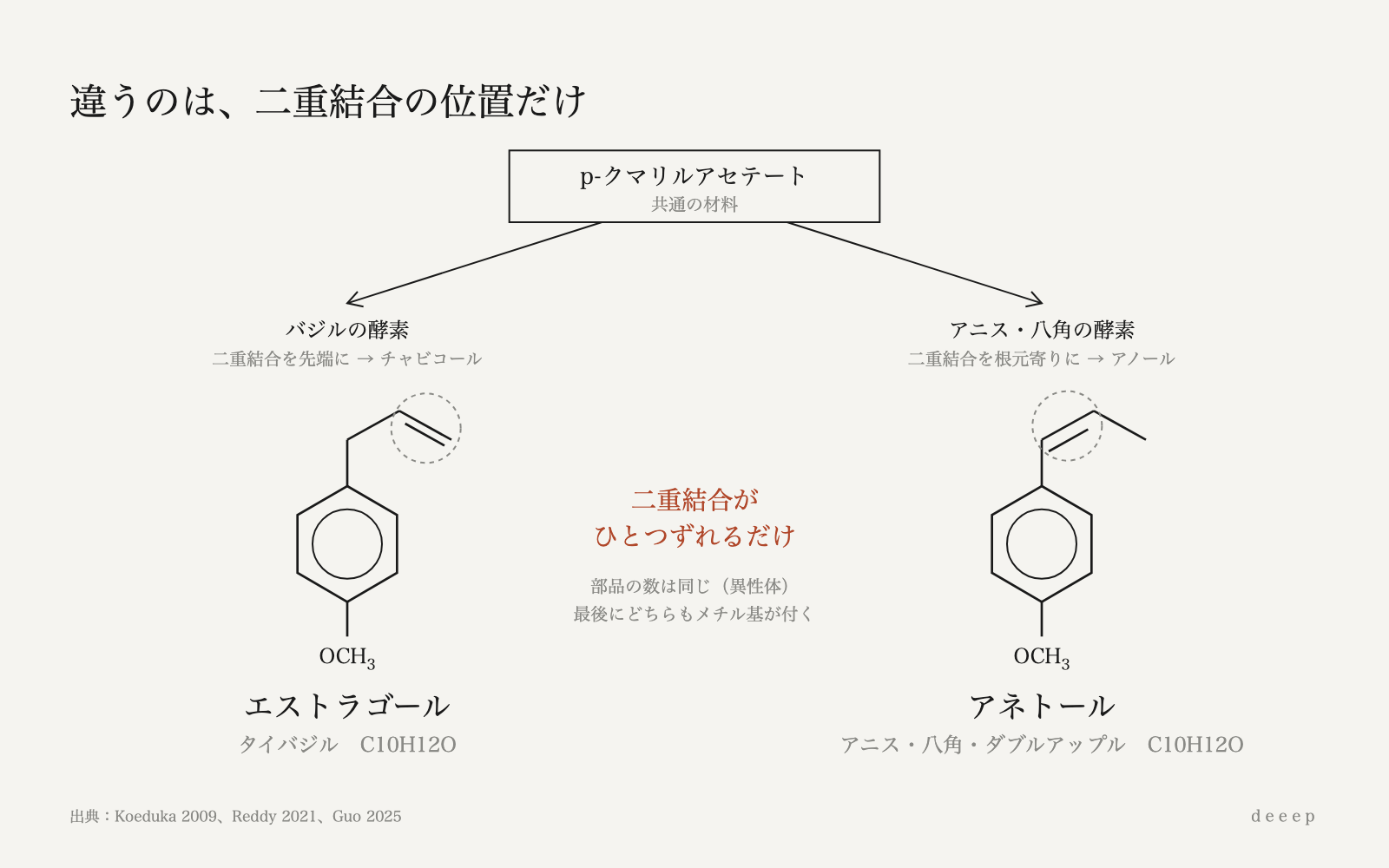 エストラゴールとアネトールは同じ材料から生まれ、二重結合の位置ひとつで分かれる。