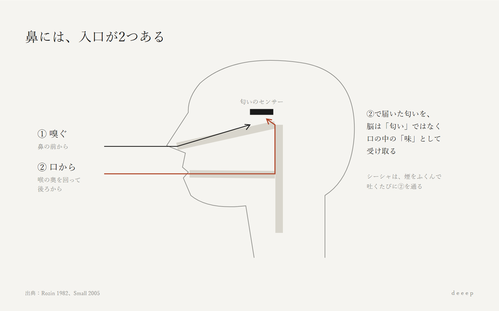 嗅ぐ匂いは鼻の前から、シーシャの香りは口から喉の奥を回って鼻へ届き、「味」として感じられる。