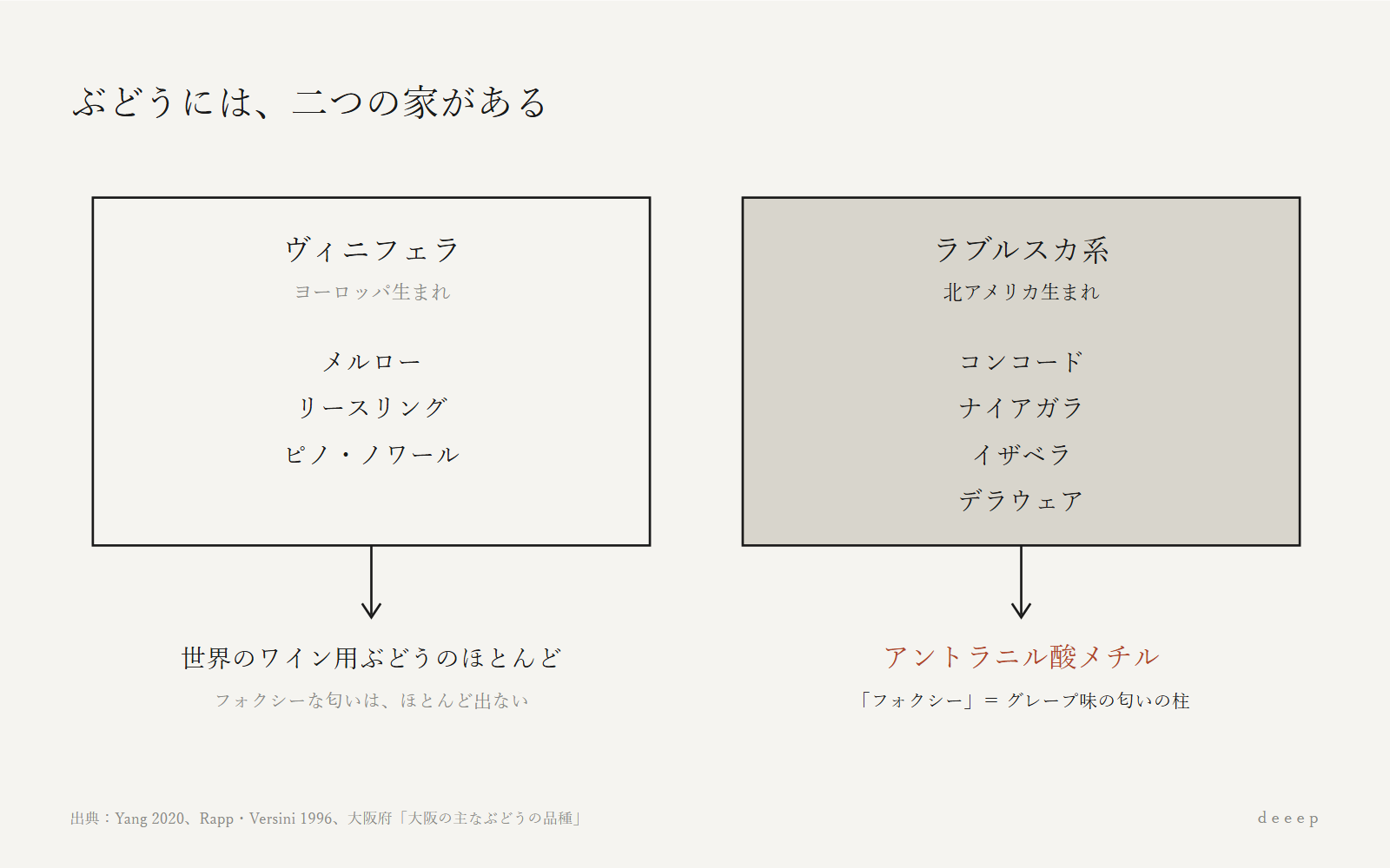 ぶどうには二つの家がある。グレープ味の匂いは、アメリカ生まれの家のほうにいる。